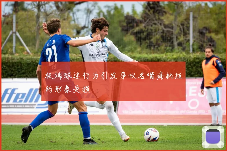 极端球迷行为引发争议名嘴痛批纽约形象受损