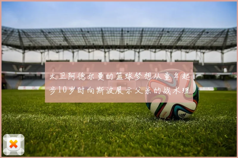 大卫阿德尔曼的篮球梦想从童年起步10岁时向斯波展示父亲的战术理念