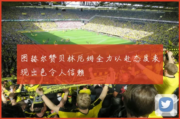 图赫尔赞贝林厄姆全力以赴态度表现出色令人信赖