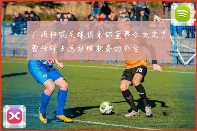 广西恒宸足球俱乐部董事会决定贾蕾仕辞去总经理职务的公告